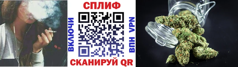 купить   Микунь  Марихуана THC 21% 